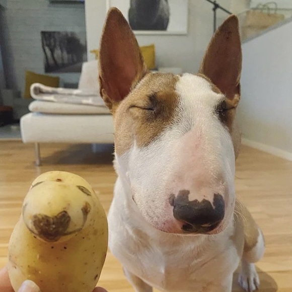 Meet your Posher, Liv - Picture 1 of 1